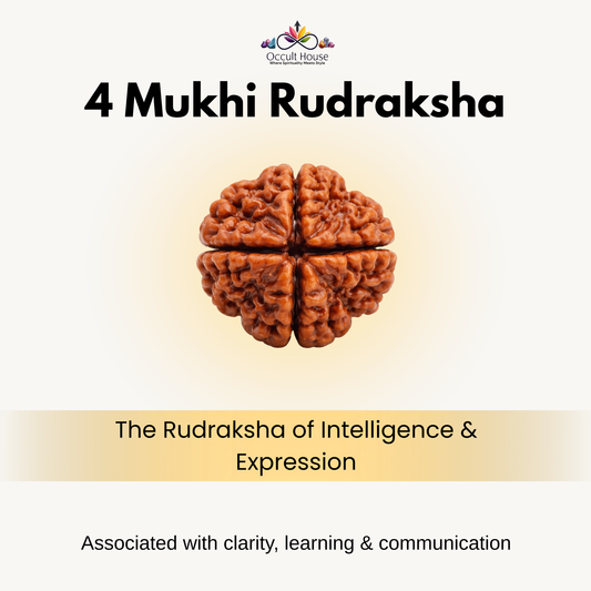4 Mukhi Rudraksha – Bead of Knowledge, Focus & Divine Wisdom