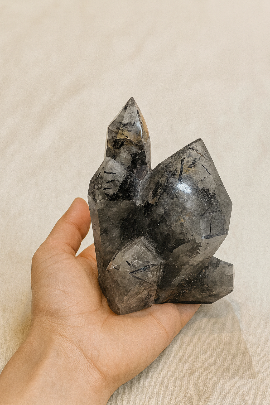 Black Tourmaline Family Cluster