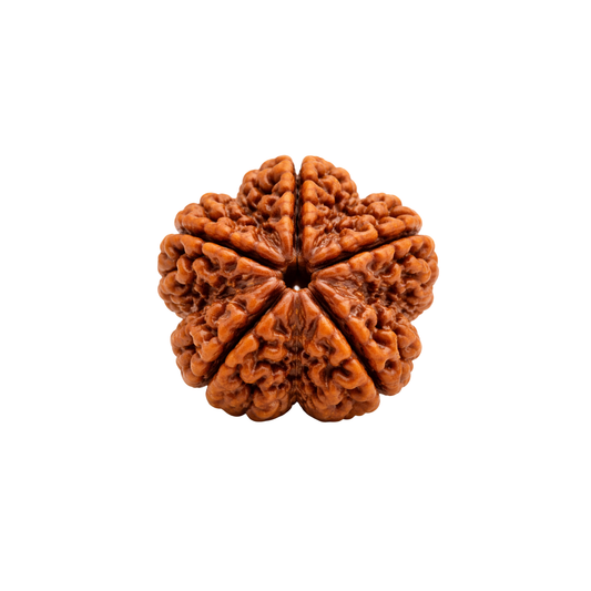 5 Mukhi Rudraksha – Bead of Peace, Clarity & Spiritual Protection