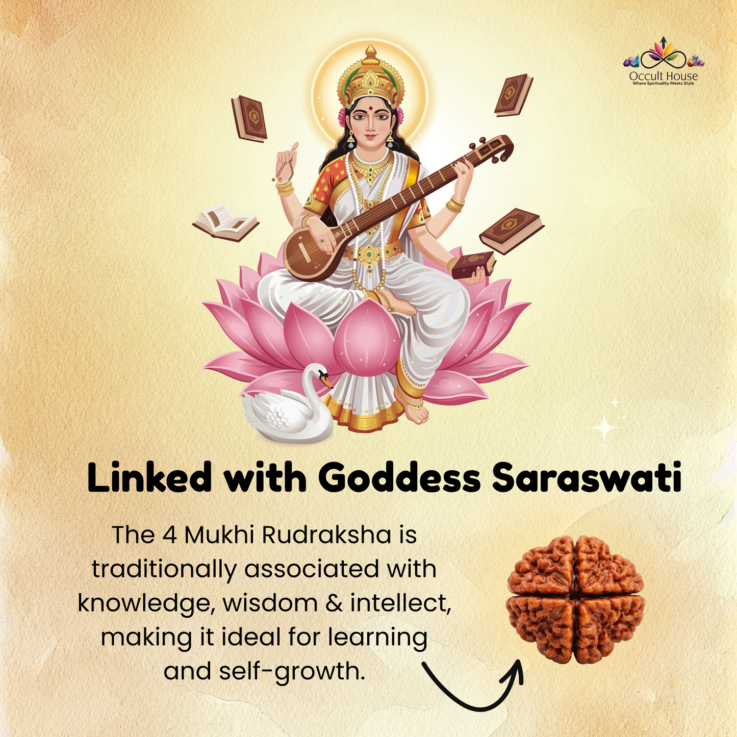 4 Mukhi Rudraksha – Bead of Knowledge, Focus & Divine Wisdom