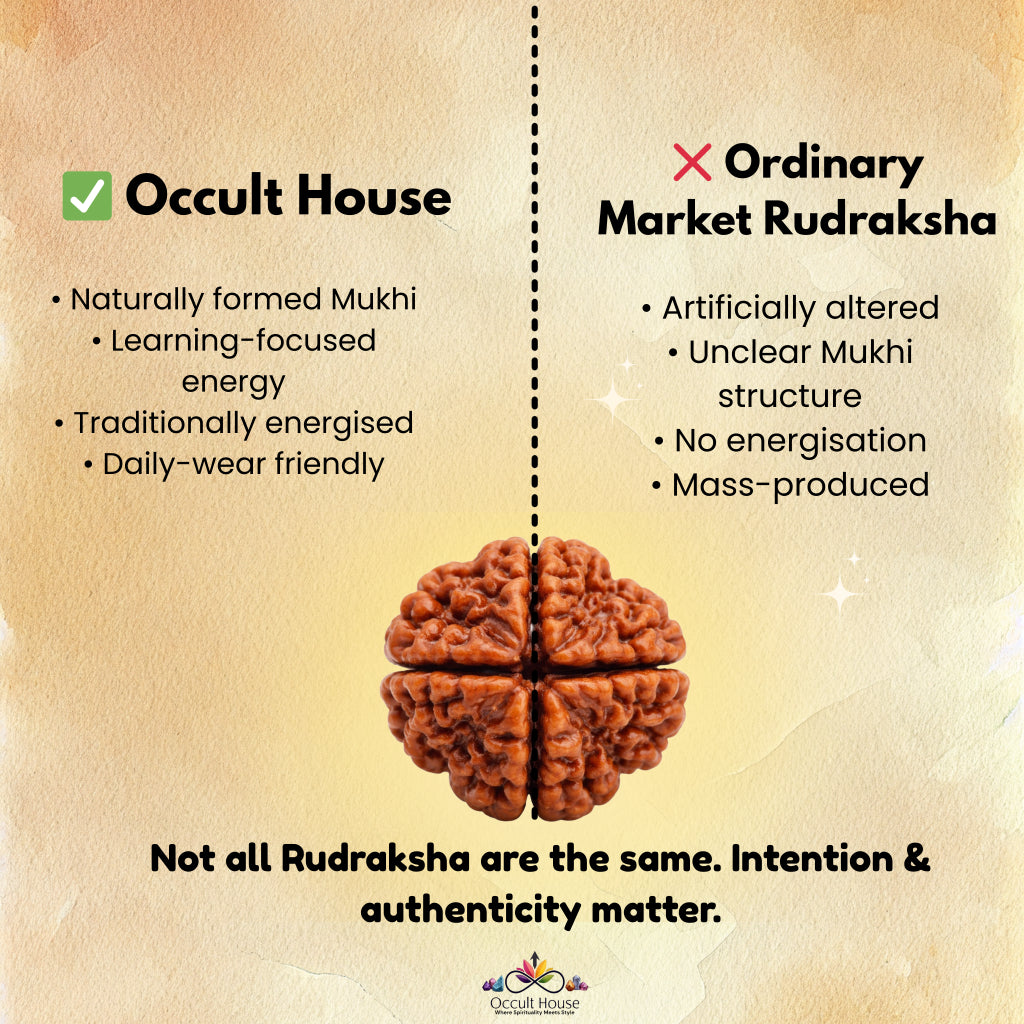4 Mukhi Rudraksha – Bead of Knowledge, Focus & Divine Wisdom