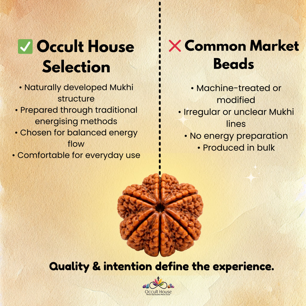 6 Mukhi Rudraksha – Bead of Strength, Balance & Emotional Stability