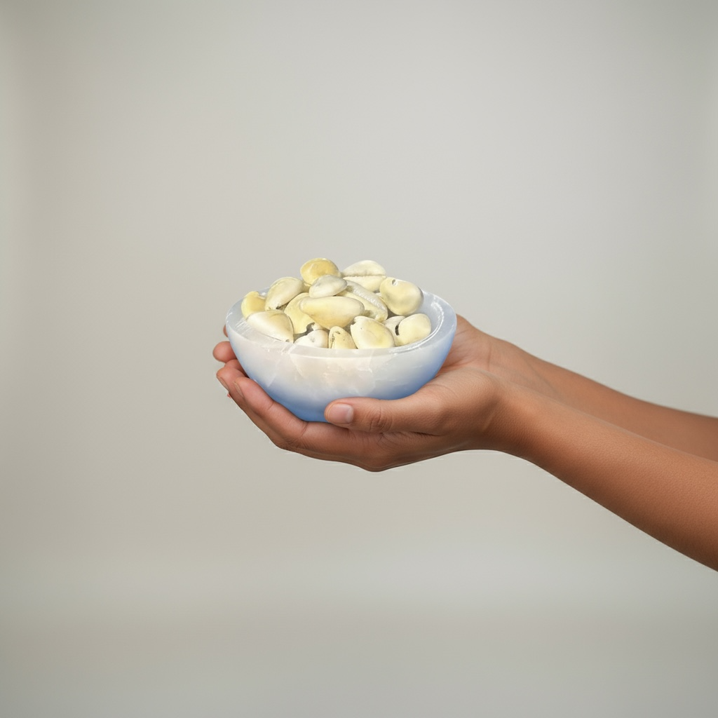 Kodi Shells – Wealth, Protection & Divine Energy