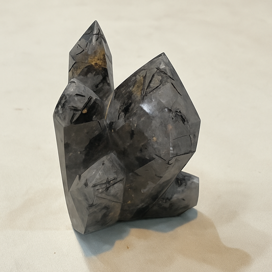 Black Tourmaline Family Cluster